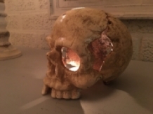 Anatomischer Schädel - Gusseisen - Weiß-Rost